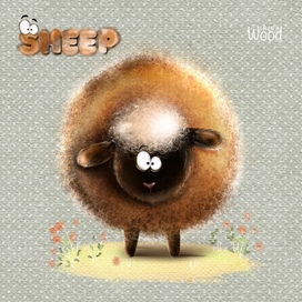 Sheep