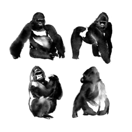 Gorillas