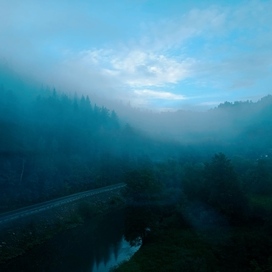 Morning in the taiga.