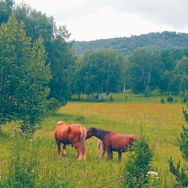 Rural outskirts.