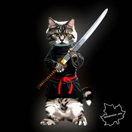 Ninja cat