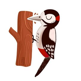  woodpecker