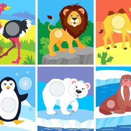 Animals for kids 3