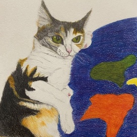 Cat’s planet 