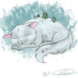 Winter cat