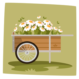 Daisies in a garden cart