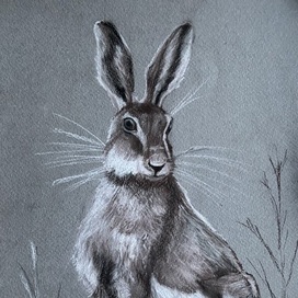 A hare