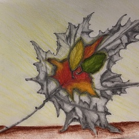 A leaf 