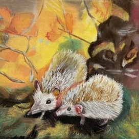 hedgehogs