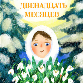 12 месяцев