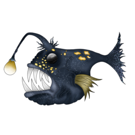 The angler fish