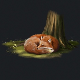 Sleeping fox