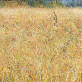 Grass October