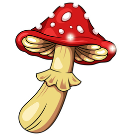 Mushroom