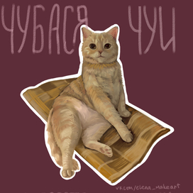 Котик подруги