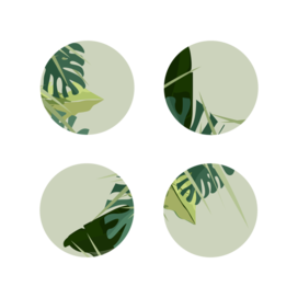  Tropical print on ellipses. Social Media Design Idea