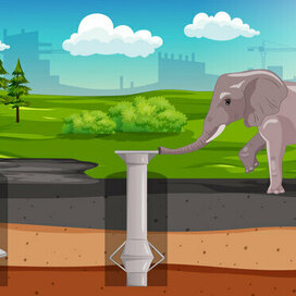 Elephant staggers a screw pile and a scope pile