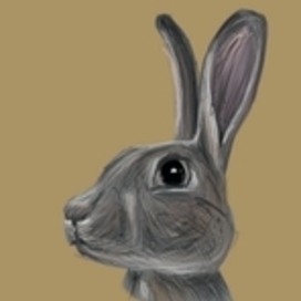 Character development for a short film. Hare.