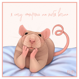 Rats: "I want to look at you forever"