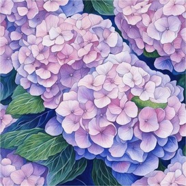 hydrangea