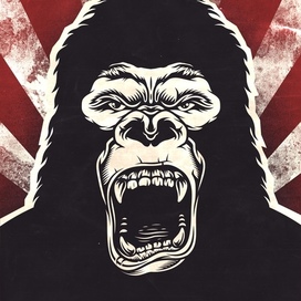 Gorilla