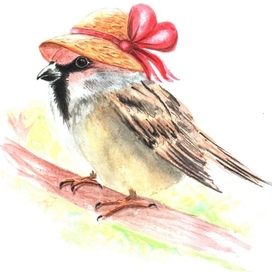 Sparrow