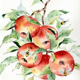 watercolor apples