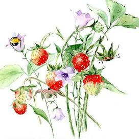 Watercolor strawberries with bluebells