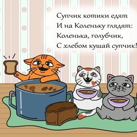 Супчик котики едят 