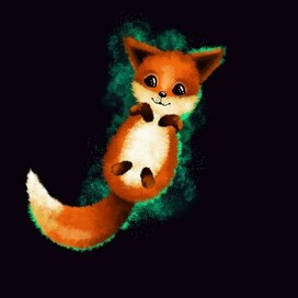 Little fox