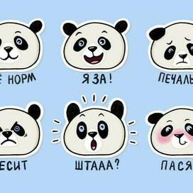 Panda. Sticker pack