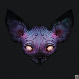 Cosmic Cat