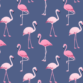 Flamingo