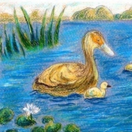 The ugly duckling