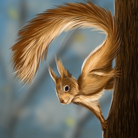 Squirrel