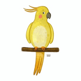 Parrot character. Children book illustration.