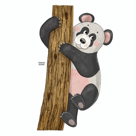 Panda character. Children book illustration.