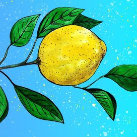 Lemon postcard