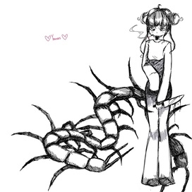 scolopendra