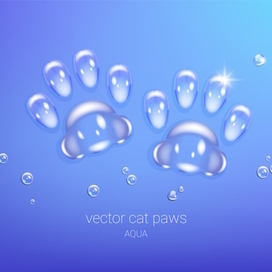 Vector water transparent cat paw prints