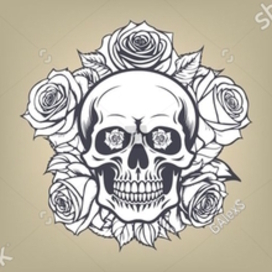 Vector skull and roses