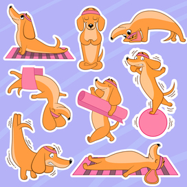 Dachshund stickers for yoga studio