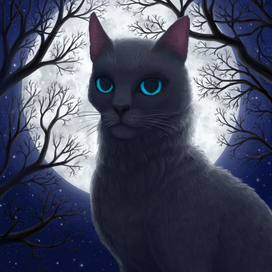 Bluestar