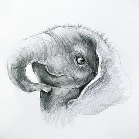 Just a little elephant