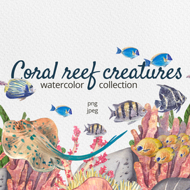 Watercolor fish reef creatures