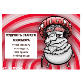 postcard with a philosophical phrase from an old fly agaric