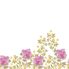 Garden and wild flowers. Modern seamless floral pattern. Wildflowers are yellow and fuchsia. Ideal for decorating packaging, tableware, wallpaper and fabric. Wall of flowers