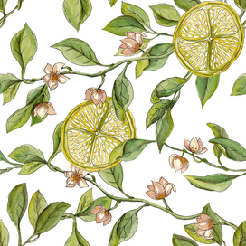 Organic seamless pattern of leaves and flowers. Artistic nature background. Lemon tree and ripe fruits