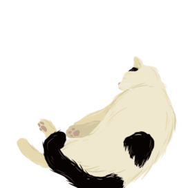 Спящий кот