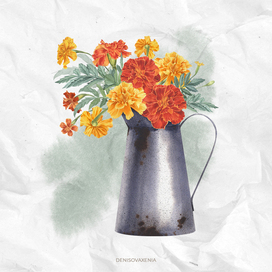 Marigolds in a metal jug